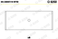 Cuzineti biela 01-3867/4 STD GLYCO
