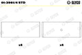 Cuzineti biela 01-3961/4 STD GLYCO