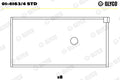 Cuzineti biela 01-4163/4 STD GLYCO