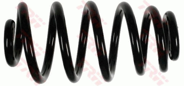 Arc elicoidal TRW JCS920