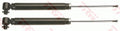 amortizor JGT1058T TRW