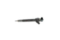 Injector 0 445 110 646 BOSCH