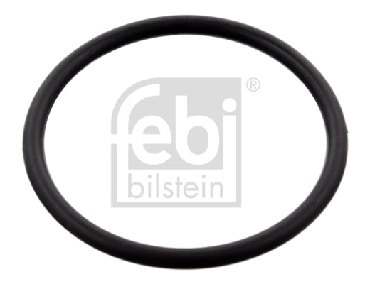 Garnitura, carcasa termostat 100077 FEBI BILSTEIN