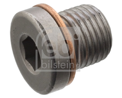 surub de golire,baia de ulei 101020 FEBI BILSTEIN