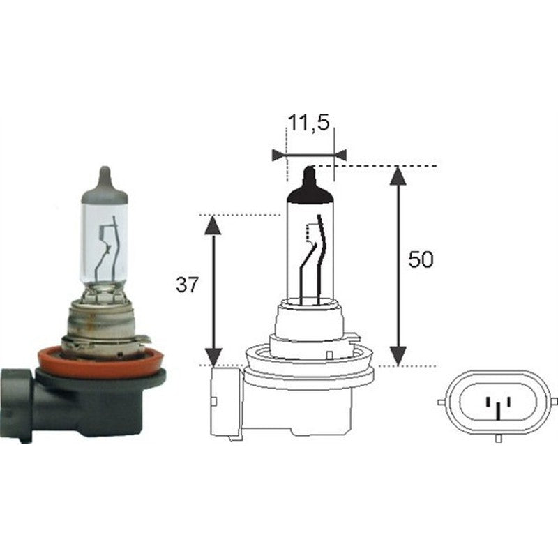 Bec Magneti Marelli H11 12V 55W PGJ-19-2 - 002549100000