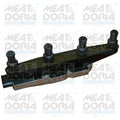 bobina de inductie 10333 MEAT & DORIA