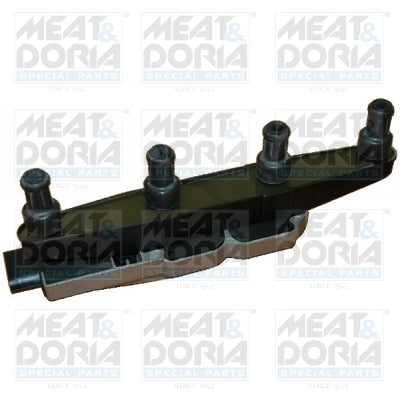 bobina de inductie 10333 MEAT & DORIA