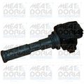 bobina de inductie 10334 MEAT & DORIA