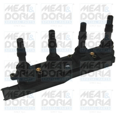 bobina de inductie 10398 MEAT & DORIA