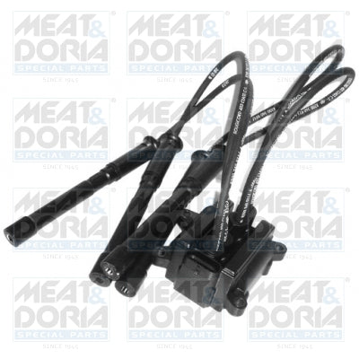 bobina de inductie 10420 MEAT & DORIA