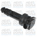 bobina de inductie 10582 MEAT & DORIA