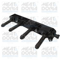 bobina de inductie 10630 MEAT & DORIA