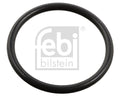 Inel etansare, injector 106612 FEBI BILSTEIN