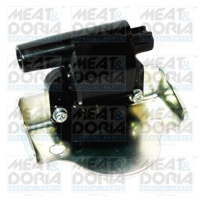 bobina de inductie 10748 MEAT & DORIA