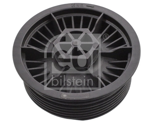 Capac, filtru combustibil 108695 FEBI BILSTEIN