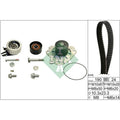 Set pompa apa + curea dintata 530 0624 30 INA