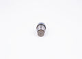 Supapa limitare presiune, sistem Common-Rail 1 110 010 028 BOSCH