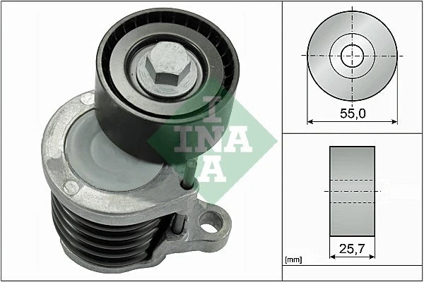 Intinzator curea accesorii INA 534 0591 10
