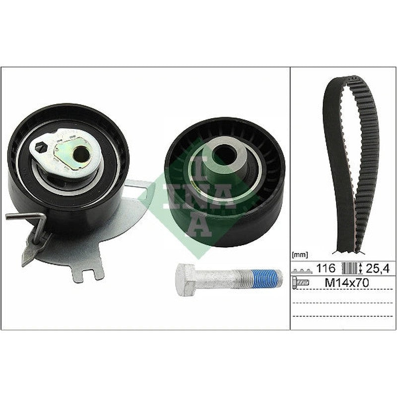 Set curea de distributie 530 0691 10 INA