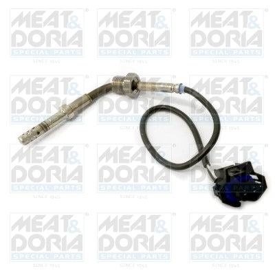 Senzor, temperatura gaze evacuare 11959 MEAT & DORIA