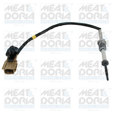 Senzor, temperatura gaze evacuare 12069 MEAT & DORIA