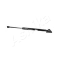 Amortizor haion Ashika ZSA90031