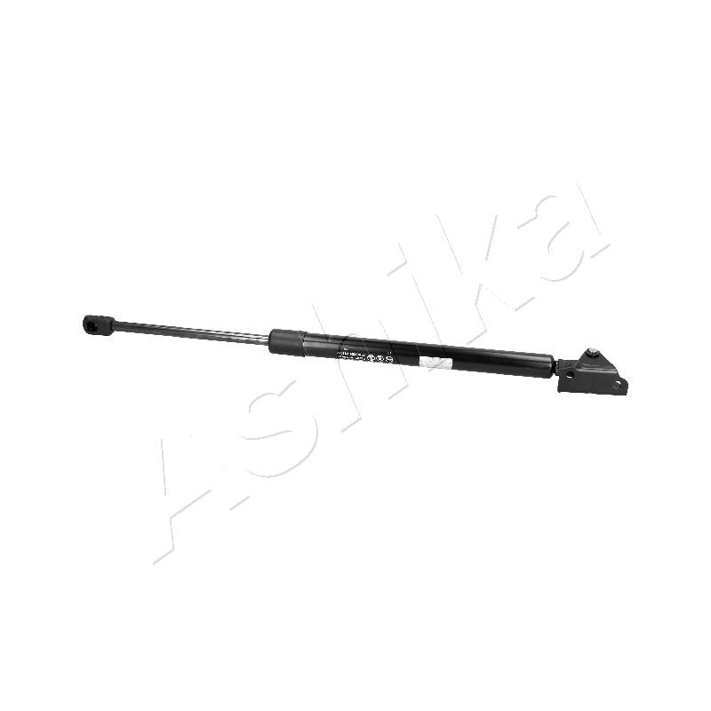 Amortizor haion Ashika ZSA90031