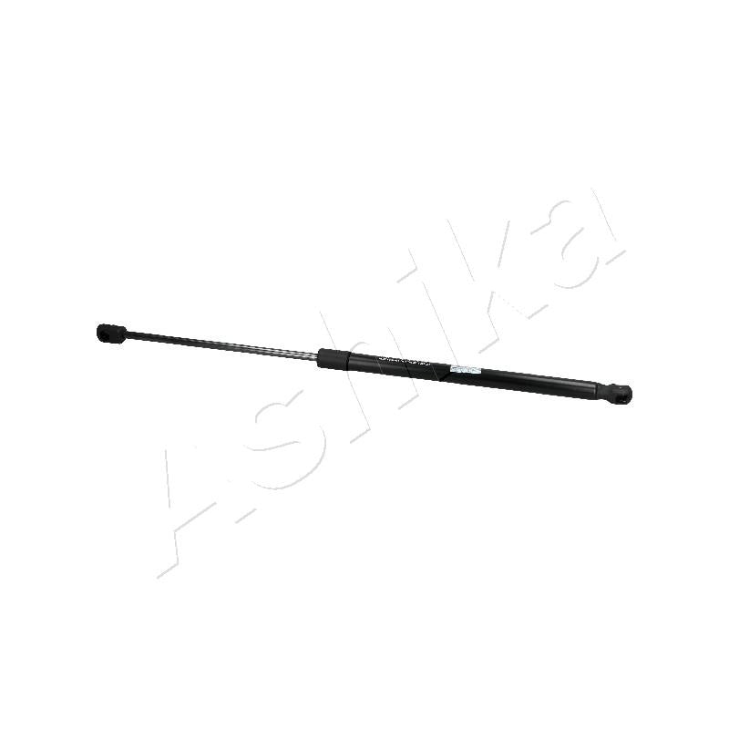 Amortizor haion Ashika ZSA10025