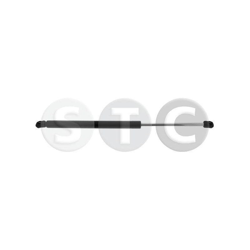 Amortizor haion STC T446551
