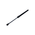 Amortizor haion MTR 12197029