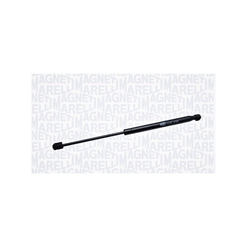 Amortizor haion MAGNETI MARELLI 430719109500