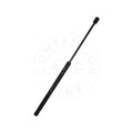 Amortizor haion AIC 53848