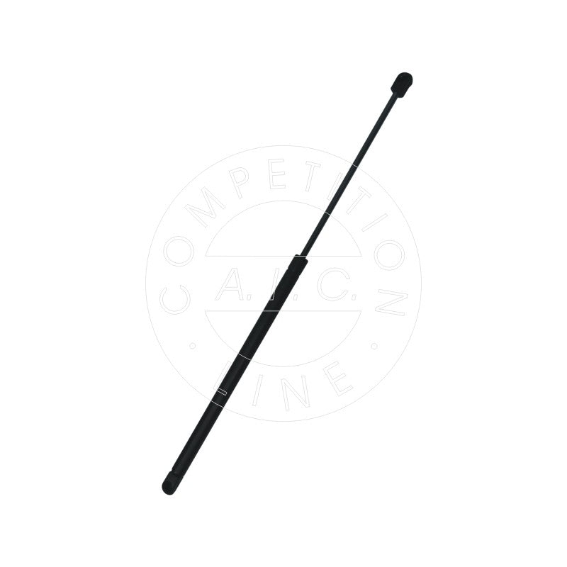 Amortizor haion AIC 53889