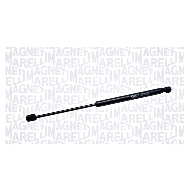 Amortizor haion MAGNETI MARELLI 430719056500