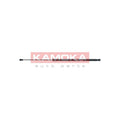 Amortizor capota KAMOKA 7091152