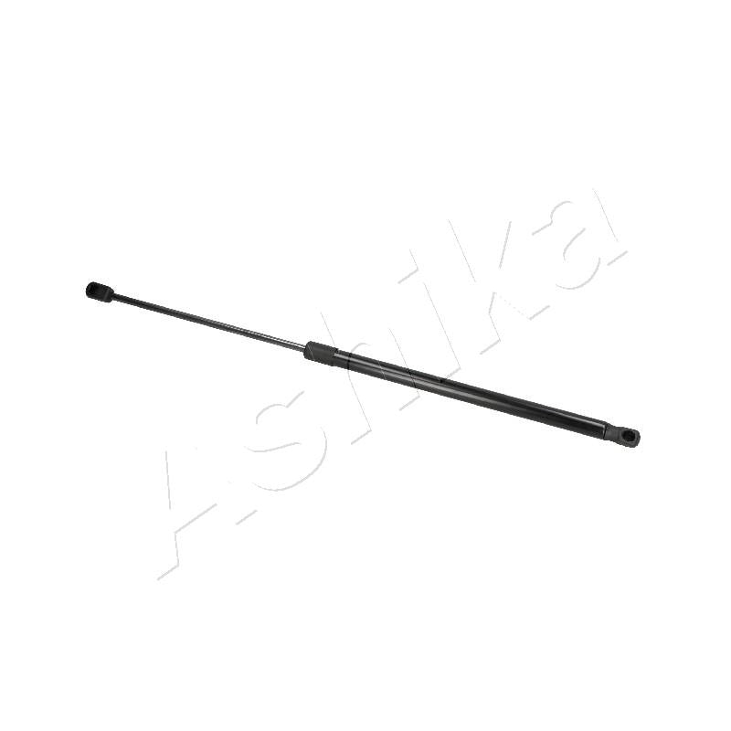 Amortizor haion Ashika ZSA07007