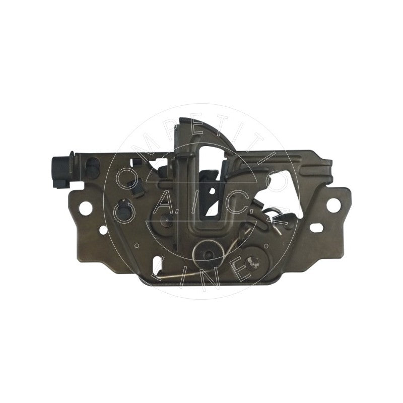 Broasca capota AIC 56646