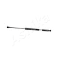 Amortizor haion Ashika ZSA02076