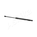 Amortizor haion Ashika ZSA01048