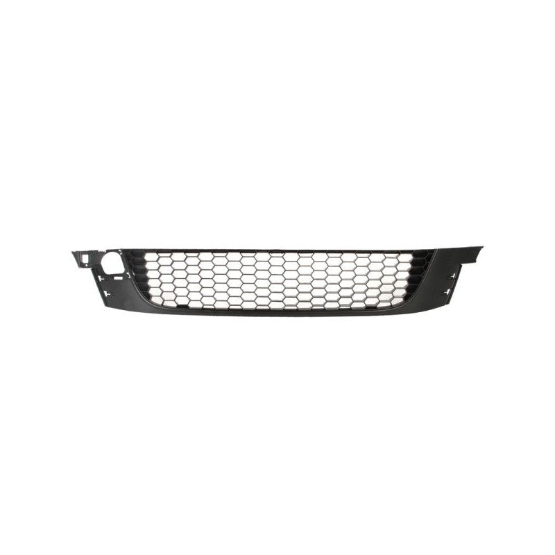 Grila bara protectie MTR 12109632