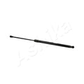 Amortizor haion Ashika ZSA01026