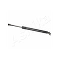 Amortizor haion Ashika ZSA01072