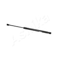 Amortizor haion Ashika ZSA01087