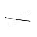 Amortizor haion Ashika ZSA04029
