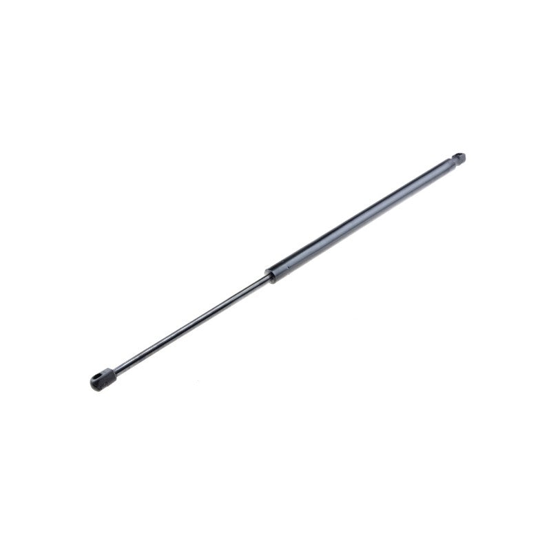 Amortizor haion MTR 12161346