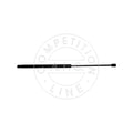 Amortizor haion AIC 53854