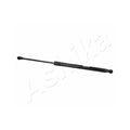Amortizor haion Ashika ZSA06064