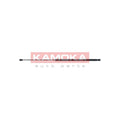 Amortizor capota KAMOKA 7091056