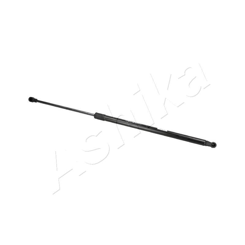 Amortizor haion Ashika ZSA07019