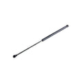 Amortizor haion MTR 12161347